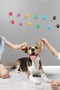 6-Pack Colorful Paw Stickers - 5
