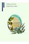 Eucalyptus Extract Natural Sponge Soap, Natural Sponge Soap