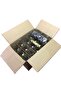 1000 ml Clear Pyramid Shaped Curved Glass Bottle with Locking Cap and Hooded , 15 Pieces - 5
