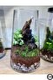 Delizli Handcrafted 27 cm Aquarium Handcrafted Cylinder Vase Trape Ps27 - 4