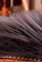 Soft Peluş Kuzu Postu Antrasit - 4