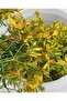 St. John's Wort Oil 50 ml - 2