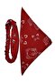 Cat Patterned Square Bandana and Elastic Parachute Bandana Set