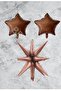 Brown Polar Star and Foil Balloon Set