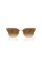 4416672151 51 Model Sunglasses - 5