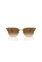 4416672151 53 Model Sunglasses - 5