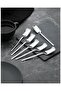 Stainless Steel 6-Piece Dessert Spoons Coffee, Sugar, Tea, Ice Cream - 2