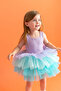 Lilac Tutu Dress - 2
