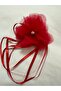 Red Wrist and Neck Ornament - 2