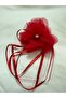 Red Wrist and Neck Ornament