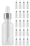 20 Pieces 100 ml Transparent Serum Bottle - Dropper Glass with Silver Metal Cap