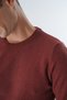 Tan Men's 100% Cotton Crew Neck Knitwear Sweater Trist-1194 - 6