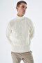 Men's Bone Turtleneck Knitted Wool Knitwear Knitted Sweater Trist-5336 - 2