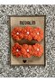 Daisy Knitted Girls' Buckle with Pearls