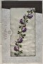 Dowry 6 Piece Purple Tulip Embroidered Machine Etamine Processing Prayer Rug Bundle Set - 2