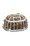 Canary Nest Making Hair Canary Finch with Basket