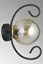 Modern Black Butterfly Smoked Glass Sconce - 2