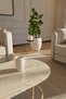 Stainless Gold Metal Flower Pot - Stylish Design for Flower Pot and Vase - 4