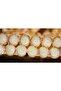 ARI SÜTÜ 1000 GR