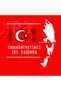 101st Anniversary Atatürk Special Design Printed Crew Neck 100% Cotton T-Shirt for Ages 9-16, Red - 5