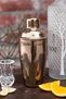 Rose Ra908 - 500ml Stainless Steel Shaker Cocktail Mixer - 2