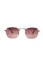 AR Collection Unisex Metal Polarized Sunglasses AR2229 C4 - 5