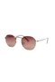 AR Collection Unisex Metal Polarized Sunglasses AR2230 - 3