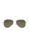 AR COLLECTION UNISEX METAL POLARIZED SUNGLASSES AR2223 - 5