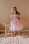 Pink Short Balloon Tulle Baby Girl Dress with Tutu at the Sleeve - Cinderella - 4