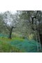 Zeytin Toplama Filesi 6mx6m - 4