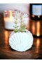 Mussel Vase Concrete, Mini Set of 2, Decorative Gift, Raw White - 6