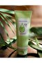 Aloe Vera Cream - Dress Effect