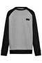 Core Basic Raglan Crew Blc Sweatshirt
