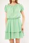 Women's Light Green Endeka Dress Collar Gathered Sleeve and Elastic Waist Skirt Layered ARM-24Y001032 - 3