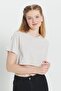 Women's Stone Standard Fit Regular Cut 100% Cotton Crew Neck Crop T-Shirt - 4