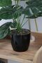 Artificial Monstera Plant with 12 Leaves in a Black Pot, 45 cm - 3