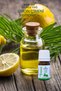 Citronella (Citronella) Essential Oil, 5 Ml, 100% Pure, C. Winterianus Essential Oil, Lemongrass