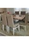 High Quality Chair Cover, lycra, washable, 1 Piece Cappuccino Color - 5