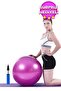 Pink Pilates Ball 65cm Deluxe Yoga Plates Exercise Ball Ball Inflation Pump Set - 5