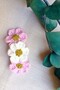 Daisy Patterned Snap Fastener Set of 2 Baby Girl Hair Accessory Clip / Baby Clip - Girl's Hair Clip - 3