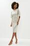 Metallic Angel Sleeve Ruffle Waist Dress