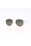 AR Collection Unisex Metal Polarized Sunglasses AR2224 C3 - 3