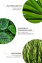 Anti-Blemish Facial Cleansing Gel Tea Tree Facial Gel - 4