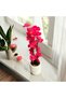 Artificial Japanese Cherry Blossom with Real Stone Moss in Concrete Flower Pot,Flower Pot ,Arrangement , Home Decoration, - 3