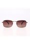 AR Collection Unisex Metal Polarized Sunglasses AR2228 C4 - 4