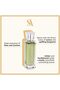 Swiss Arabian Valencia Unisex Eau De Parfum 100ml - 2