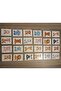 Wooden Intelligence Cards Matching Game Wooden Puzzle Toy (Cute Animals) - 5