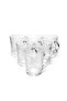 Ruby 6 Cup 260cc - 2