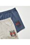Boy's Organic Cotton Lycra Boxer 4pcs Cool Tiger Lycra 3504-4