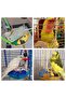 Lovebird round bagel swing double sided swing toy blue - 2
